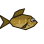 Bronzefish