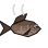 Cooked Shadowfish