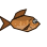 Copperfish