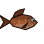 Dullfish
