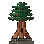 The Elder Yew
