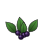 Nightshade