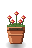 Scarlet